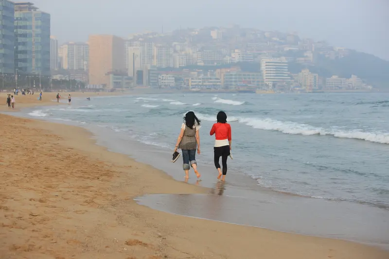 부산 해운대해수욕장 8월 초
